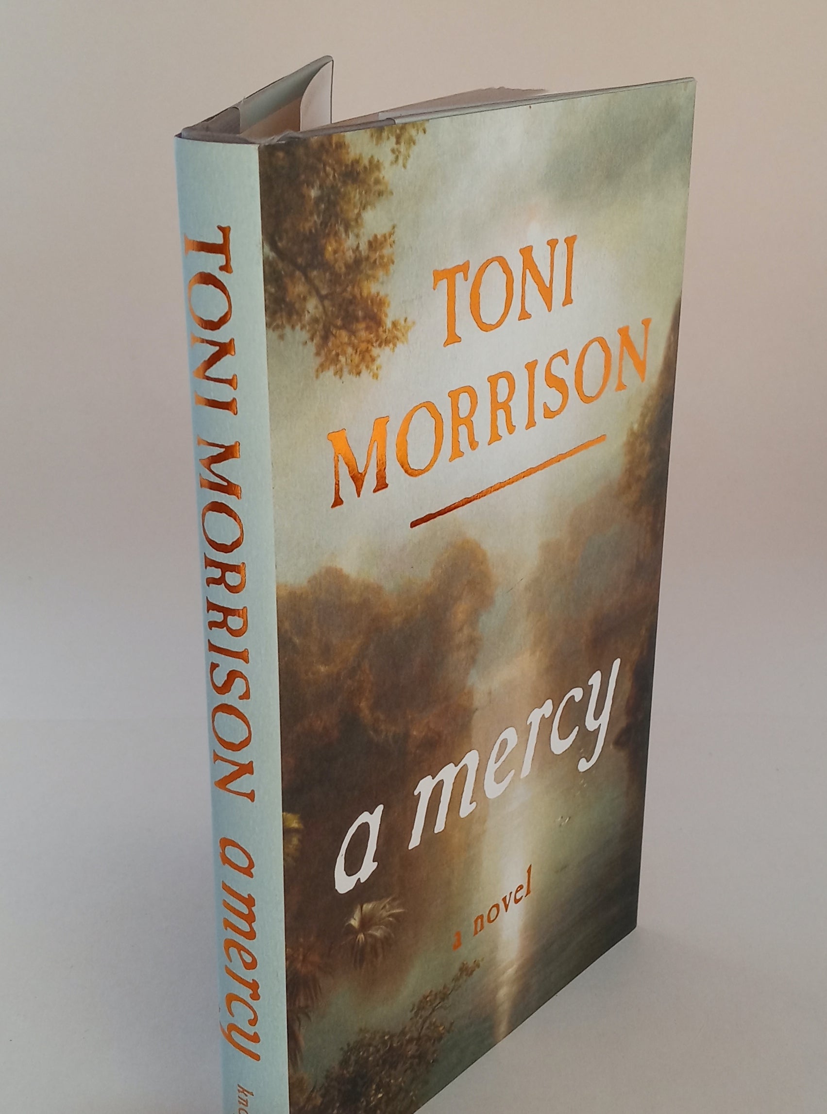 A Mercy book cover