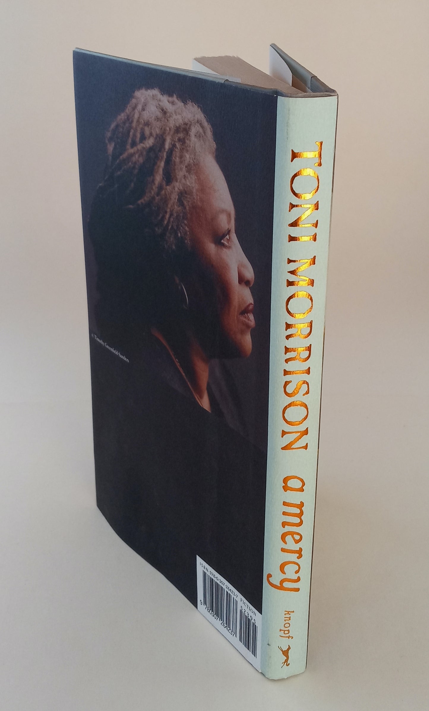 A Mercy book cover