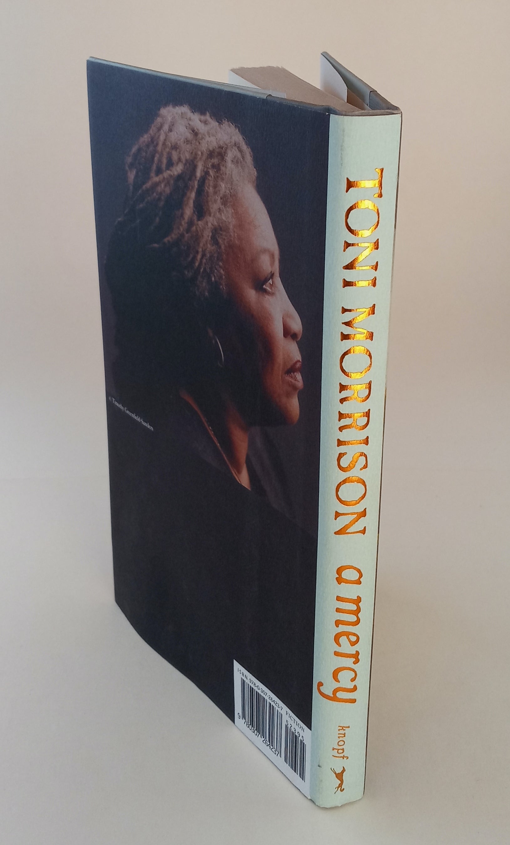 A Mercy book cover