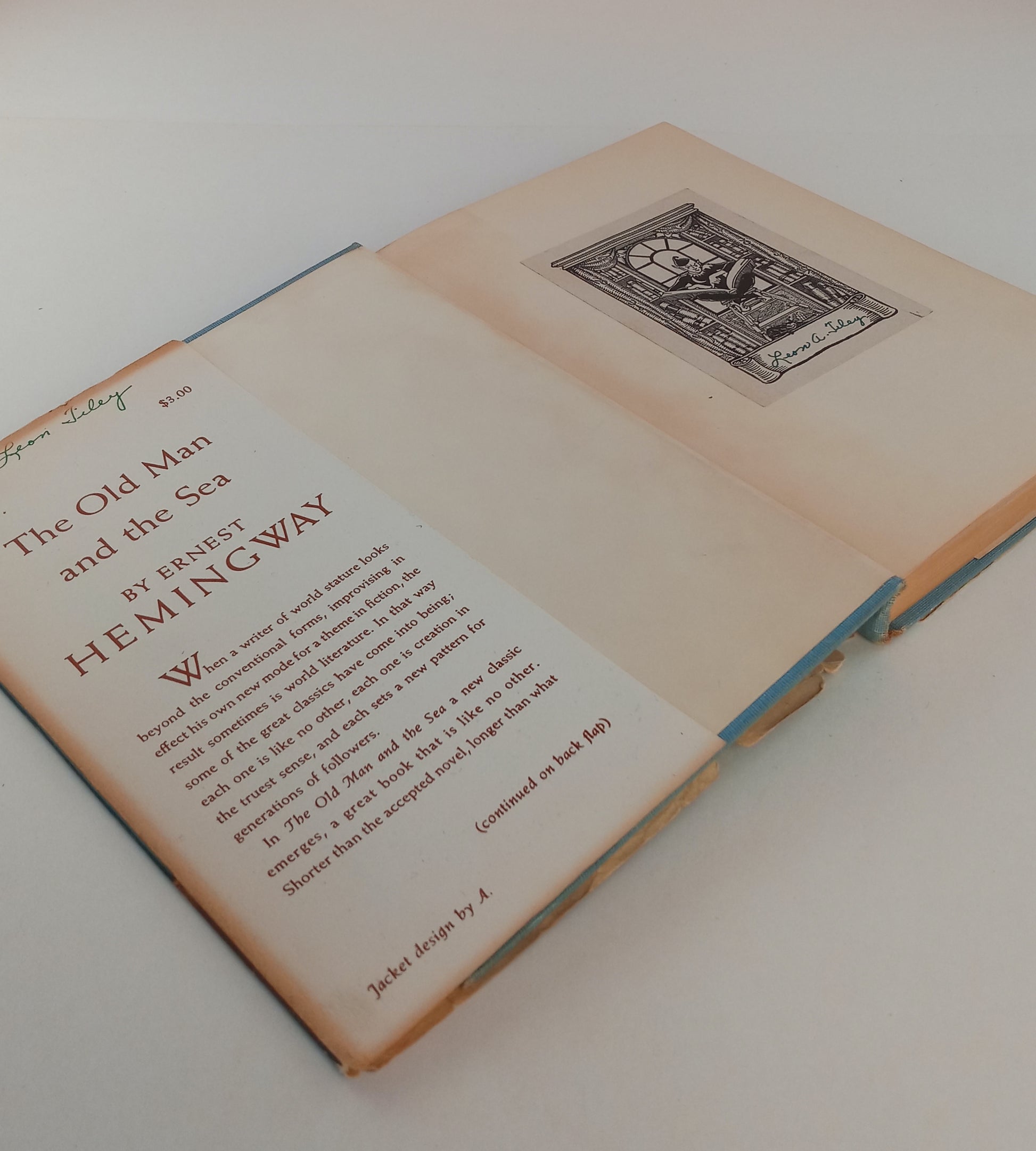 The Old Man and the Sea book cover