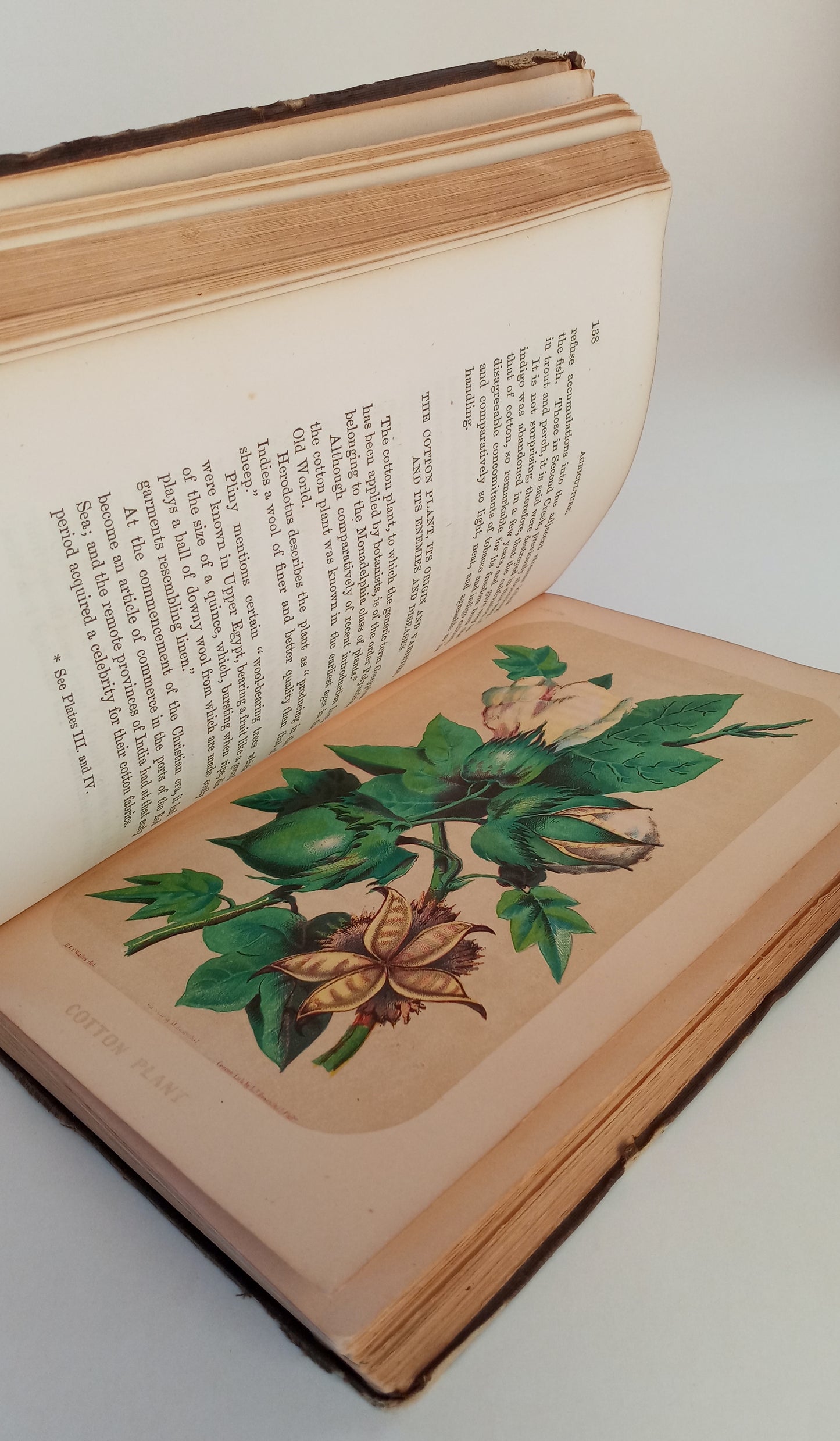 Report on the Agriculture and Geology of Mississippi. Embracing a sketch of the social and natural history of the state. book cover