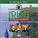 Irish Homecoming book cover