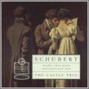 Schubert: Piano Trio Op. 100 D929 / Sonatensatz D28 - The Castle Trio book cover
