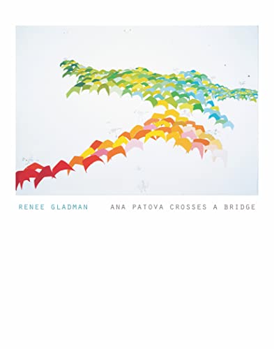 Ana Patova Crosses a Bridge book cover