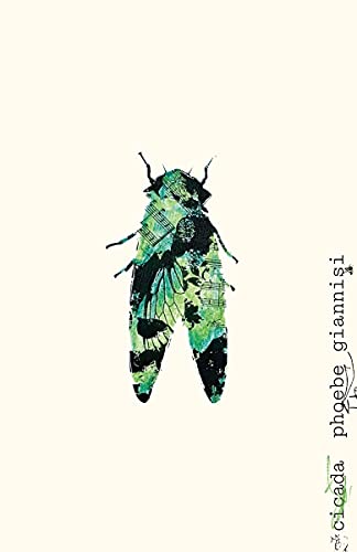 Cicada book cover