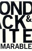 Beyond Black and White: Rethinking Race in American Politics and Society book cover