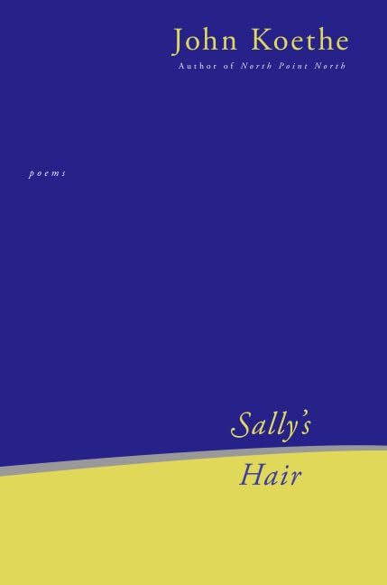 Sally's Hair: Poems book cover