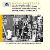 New Year / 21st & 23rd Sunday After Trinity (Imported) book cover