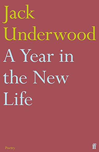 Year in the New Life book cover