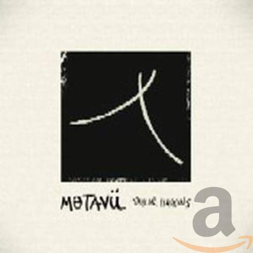 Metaview book cover