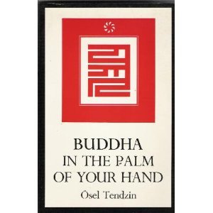 Buddha in Palm of Hand book cover
