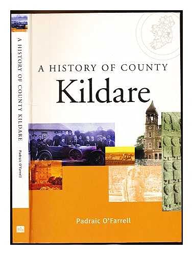 History of County Kildare