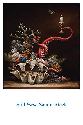 Still: Poems book cover