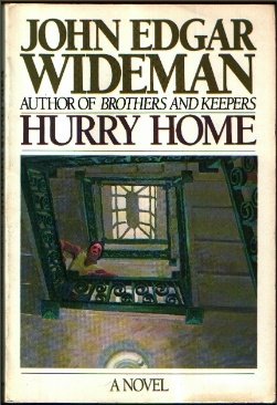 Hurry Home (Owl Book)