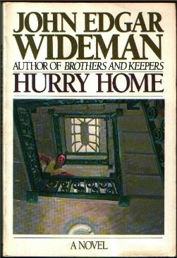 Hurry Home (Owl Book) book cover