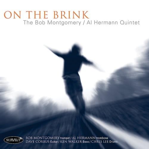 On the Brink book cover