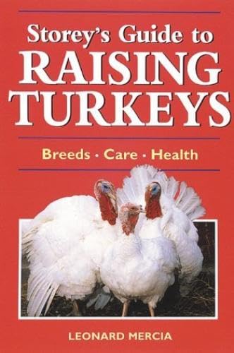 Raising Turkeys book cover