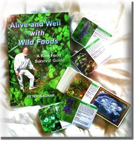 Alive and Well with Wild Foods - A Raw Food Survival Guide book cover
