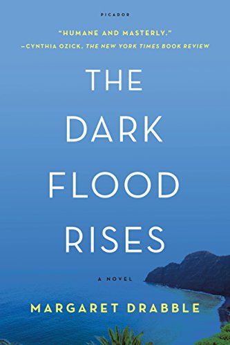 Dark Flood Rises book cover