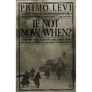 If Not Now, When? book cover