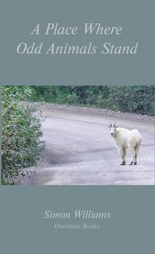 A Place Where Odd Animals Stand book cover