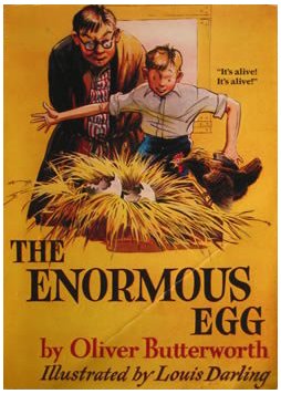 The Enormous Egg book cover