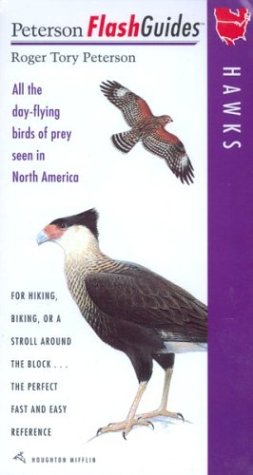 Hawks: All the Day-Flying Birds of Prey Seen in North America book cover
