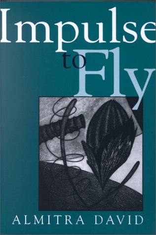 Impulse to Fly book cover