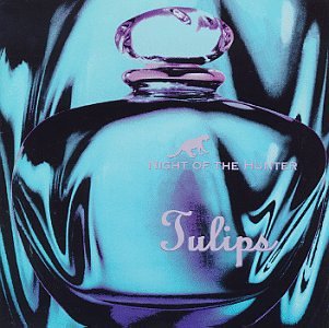 Night of the Hunter book cover