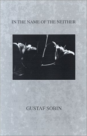 In the Name of the Neither book cover