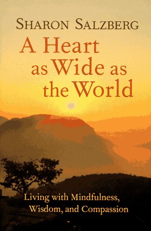 Heart as Wide as the World book cover