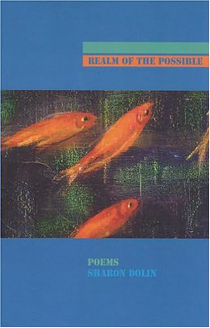 Realm of the Possible book cover