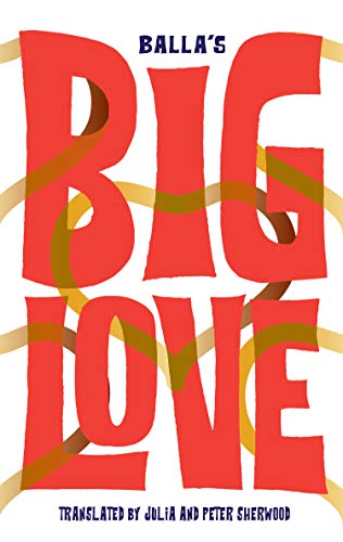 Big Love book cover