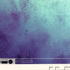 ARE YOU THERE... book cover