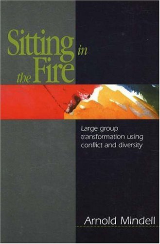 Sitting in the Fire: Large Group Transformation Using Conflict and Diversity book cover
