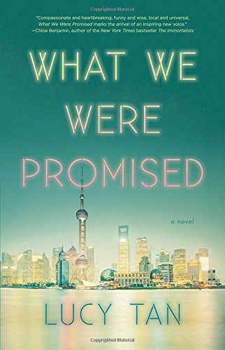 What We Were Promised book cover