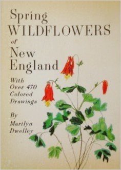 Spring Wildflowers of New Engl book cover