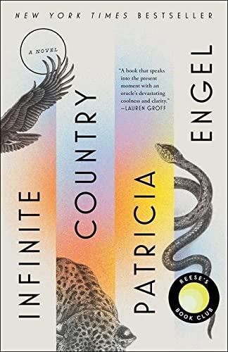 Infinite Country book cover