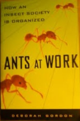 Ants At Work