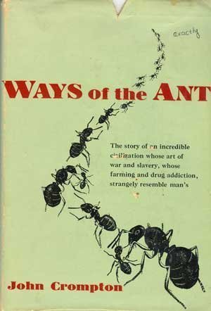 Ways of the Ant book cover