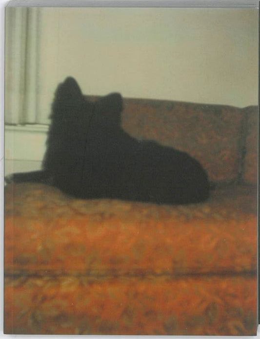 In Almost Every Picture 9 Black Dog book cover