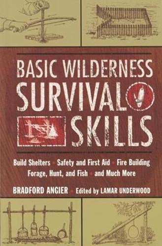 Basic Wilderness Survival Skills: Build Shelters, Safety and First Aid, Fire Building, Forage, Hunt, and Fish, and Much More book cover
