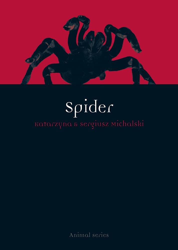Spider book cover