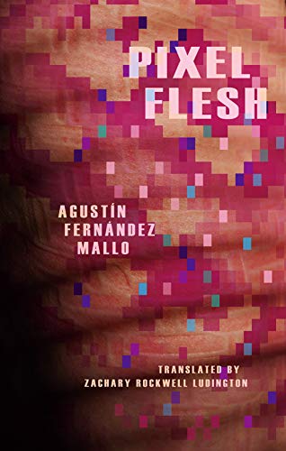 Pixel Flesh book cover