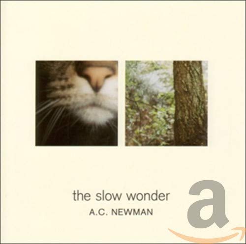 Slow Wonder book cover