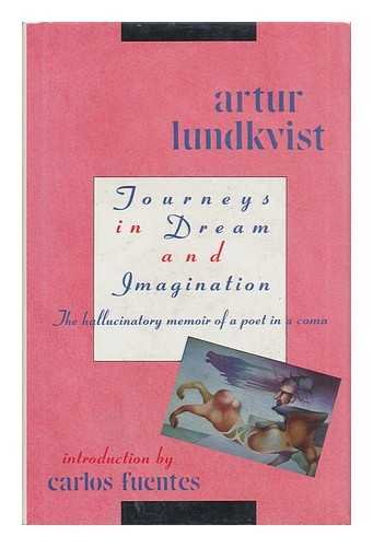 Journeys in Dream and Imagination book cover