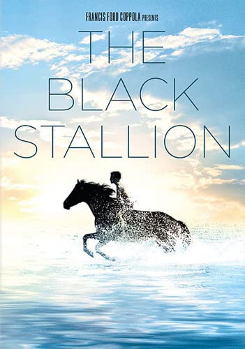 Black Stallion (New Box Art)