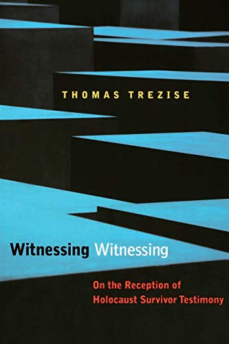 Witnessing Witnessing: On the Reception of Holocaust Survivor Testimony book cover