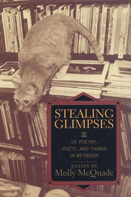 Stealing Glimpses: Of Poetry, Poets, and Things in Between / Essays book cover