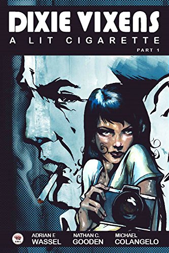 Dixievixens book cover